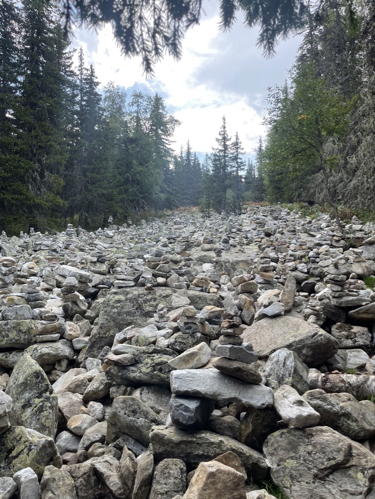 Команда, покоряющая вершины!