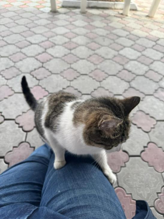 Поездка на выставку в Казахстан