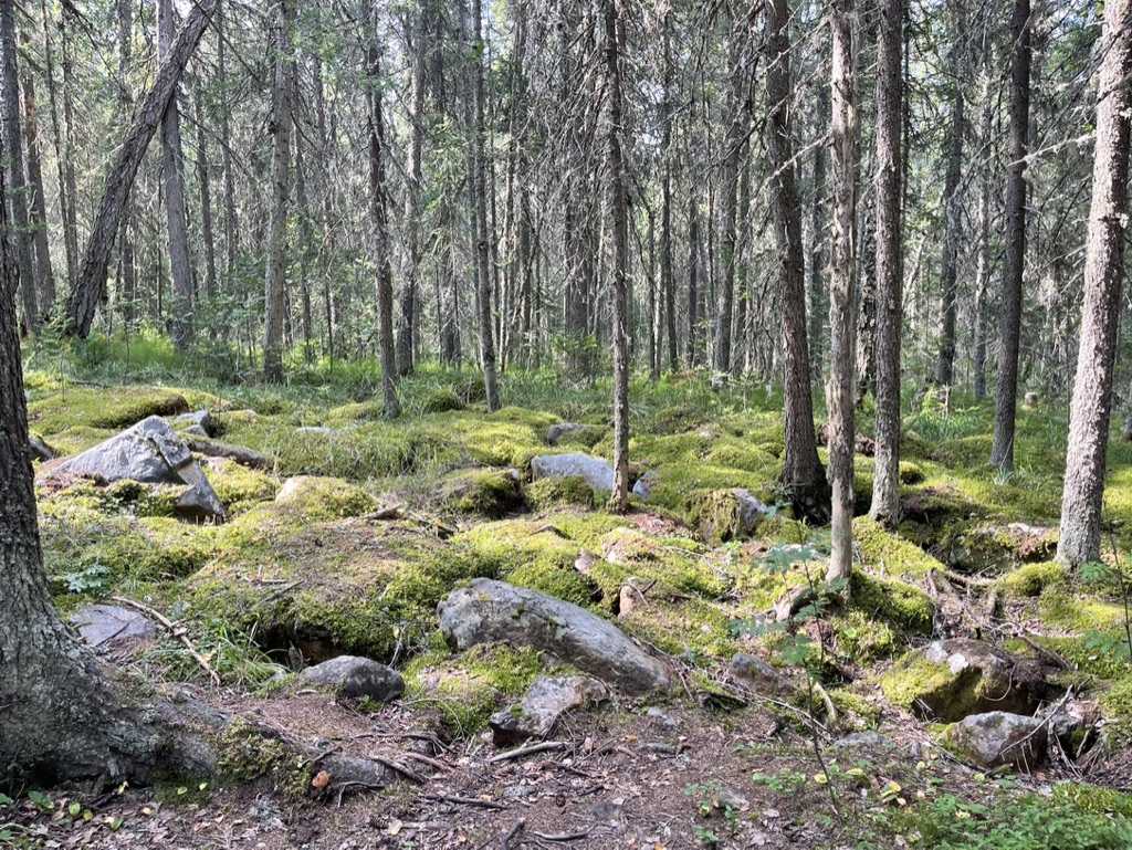 Команда, покоряющая вершины!