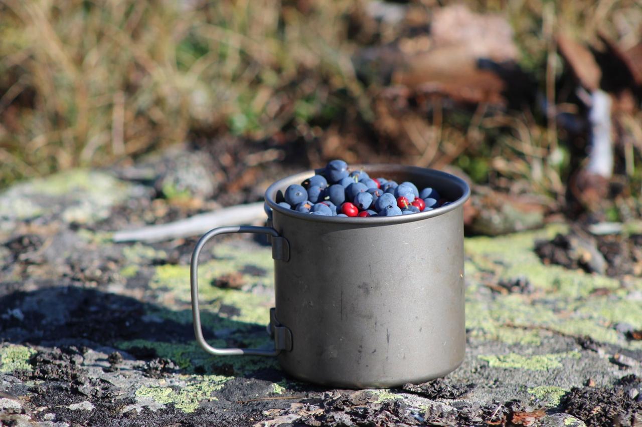 Команда, покоряющая вершины!